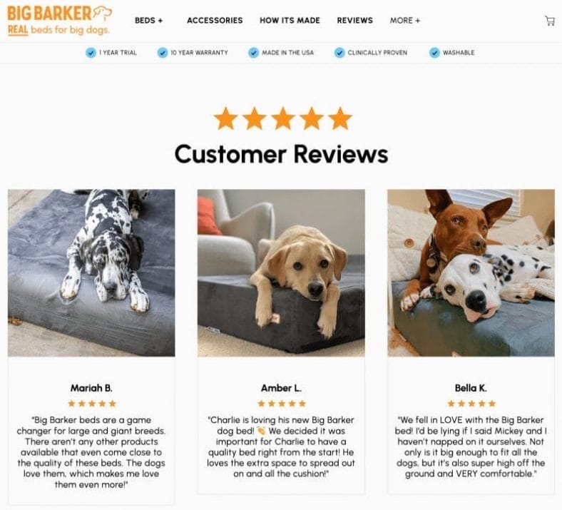 reviews for big barker